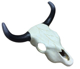 Buffalo Skull – Clay